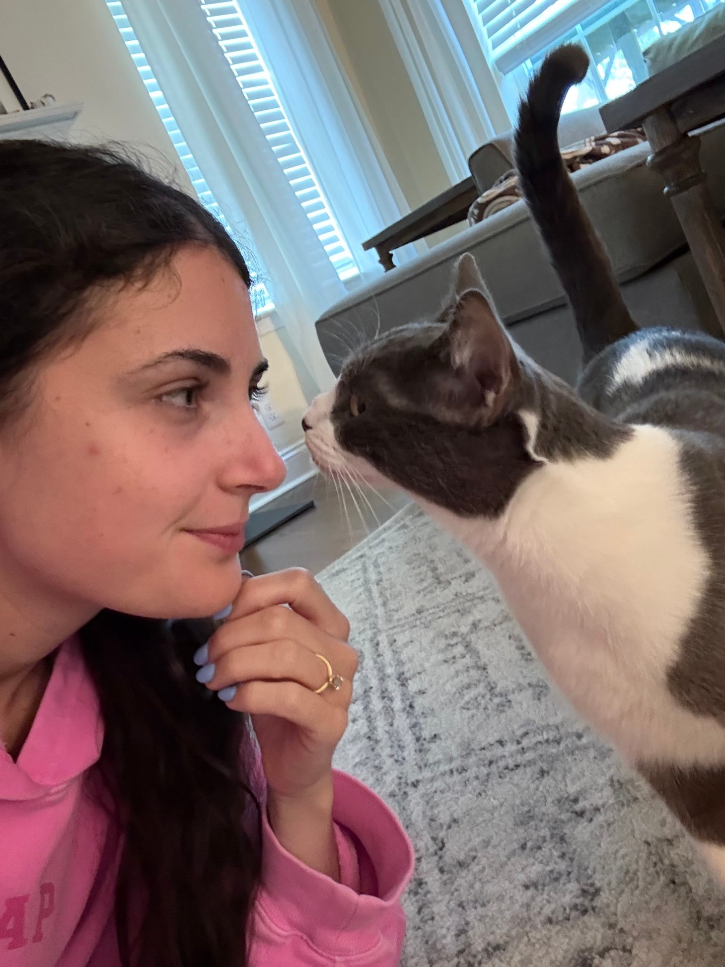 Ally nose-to-nose with a friendly grey and white cat